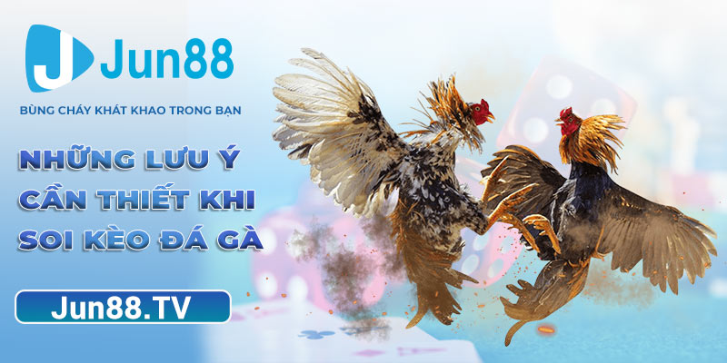 Những lưu ý cần thiết khi soi kèo đá gà
