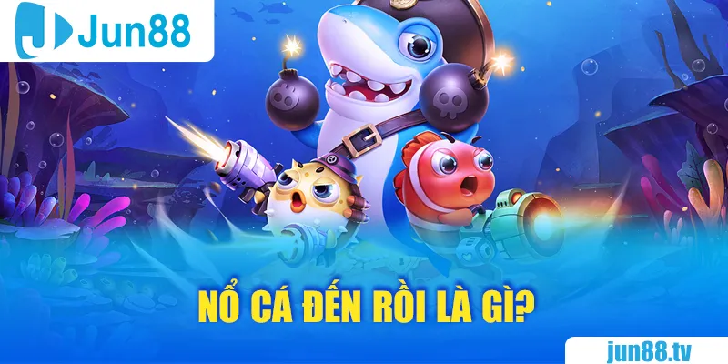 nổ cá đến rồi là gì Nổ cá đến rồi
