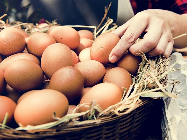 Chiêm bao thấy trứng gà là lành hay dữ